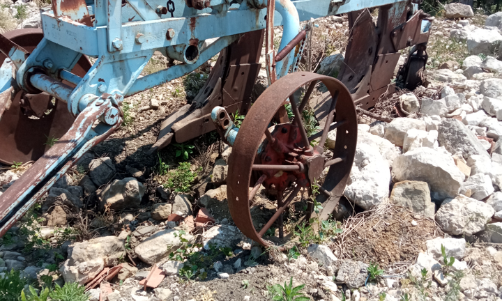 Aratro nardi bivomera