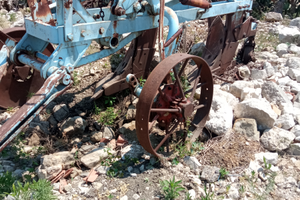 Aratro nardi bivomera