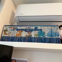 Collezione Walt Disney