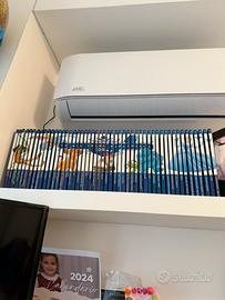 Collezione Walt Disney