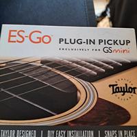 Taylor es-go pickup 