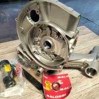 Carter MALOSSI vespa Px 125/150 V-one