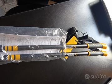 Bastoni da passeggio 