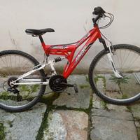 Bicicletta mountain bike