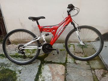 Bicicletta mountain bike