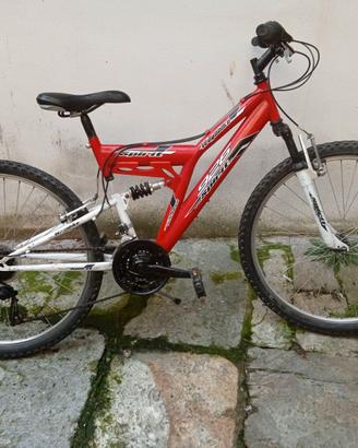 Bicicletta mountain bike