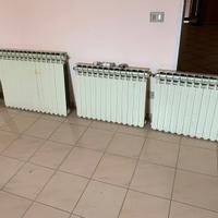 Termosioni in alluminio