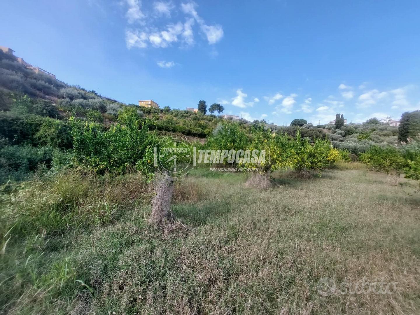 TERRENO AGRICOLO DI UN ETTARO A PACE DEL MELA. - Vista 4
