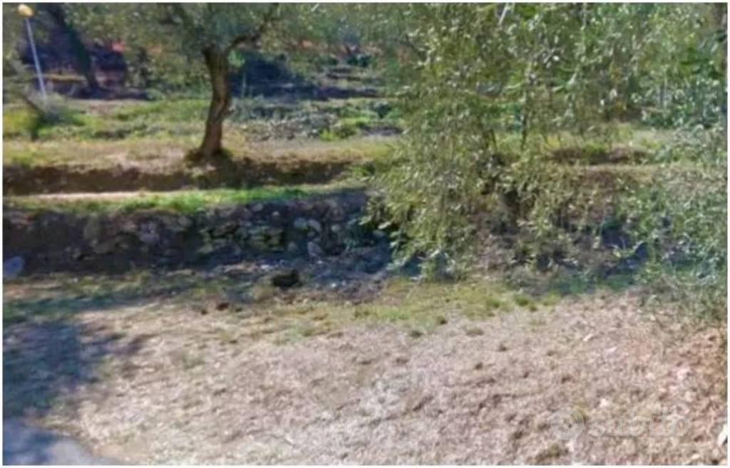 Immobile in asta di 2610 m² a Pietrabruna - Vista 2