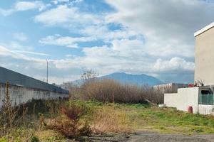 Vendita terreno agricolo