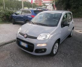 Fiat Panda 1.2 Lounge/2020