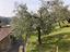 Immagine 19
