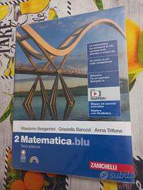 2 matematica blu 