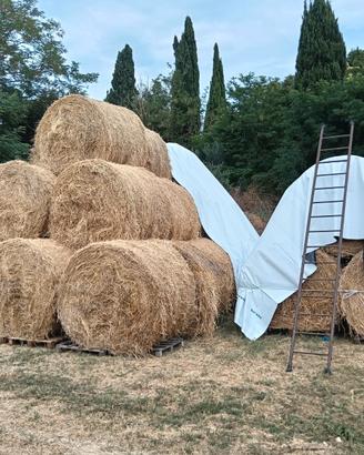 Rotoballe di fieno