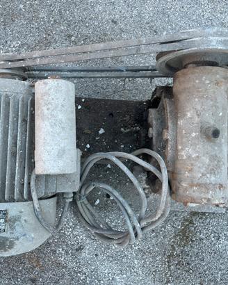 Motori elettrici