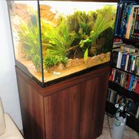 acquario 200 litri