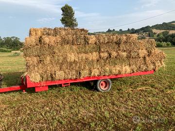 Ballette di Fieno erba medica