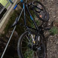 Bici custom exp50