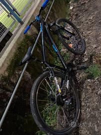 Bici custom exp50