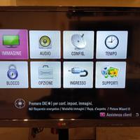 Televisore LG 29MT45V 