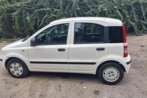 Fiat panda 2010