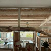 Lampada con tronco di legno