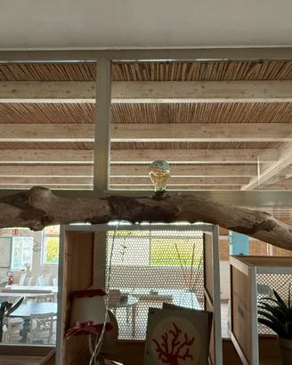 Lampada con tronco di legno