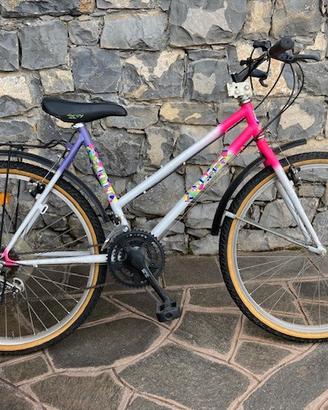 Bicicletta