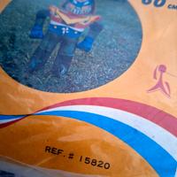 Gonfiabile VINTAGE del 1970