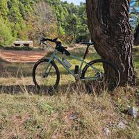surly grappler M 