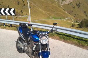 Honda Hornet 900 - 2004