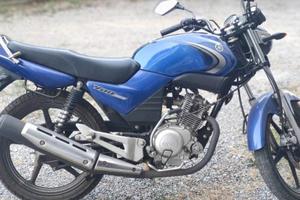 Yamaha YBR 125 - 2008