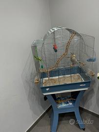 gabbia per pappagalli