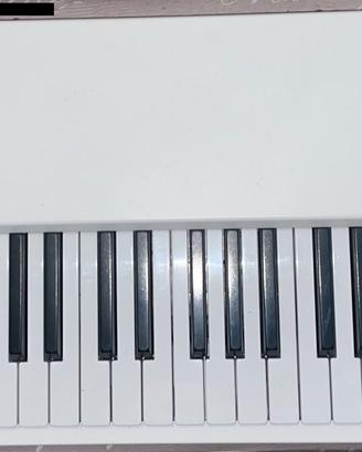 Mellotron M4000D Mini