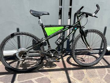 Mtb Bianchi Ragno Thomisus