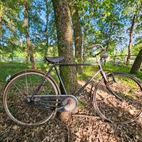 Bici bianchi epoca