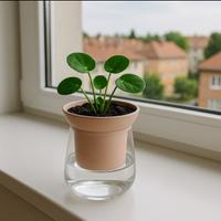 VASO AUTOIRRIGANTE DESIGN MINIMAL