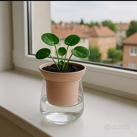 VASO AUTOIRRIGANTE DESIGN MINIMAL