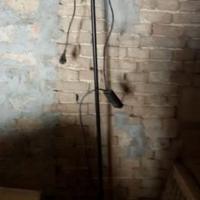 Lampada alogena