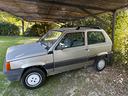 fiat-panda-900-i-e-cat-hobby