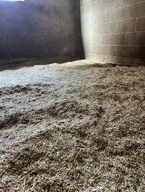 Lettiera per cavalli