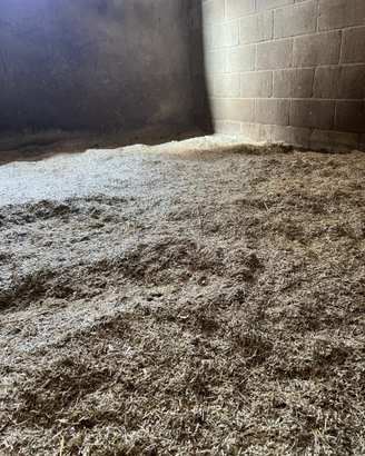 Lettiera per cavalli