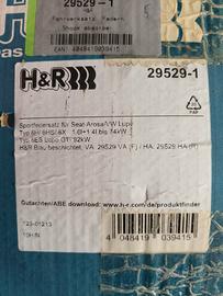 molle h&r per lupo/arosa