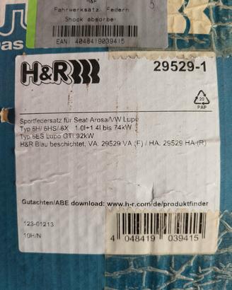 molle h&r per lupo/arosa