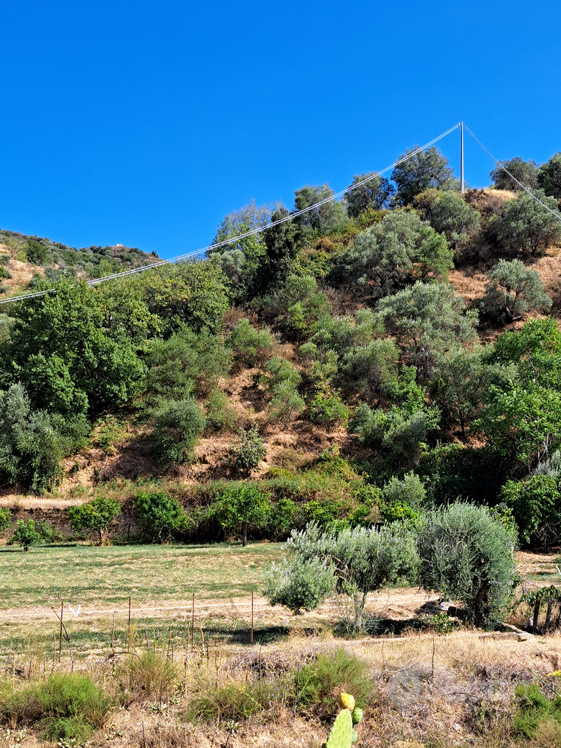 Terreno agricolo - Vista 2