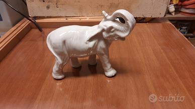 elefante in ceramica 