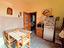 Immagine 7