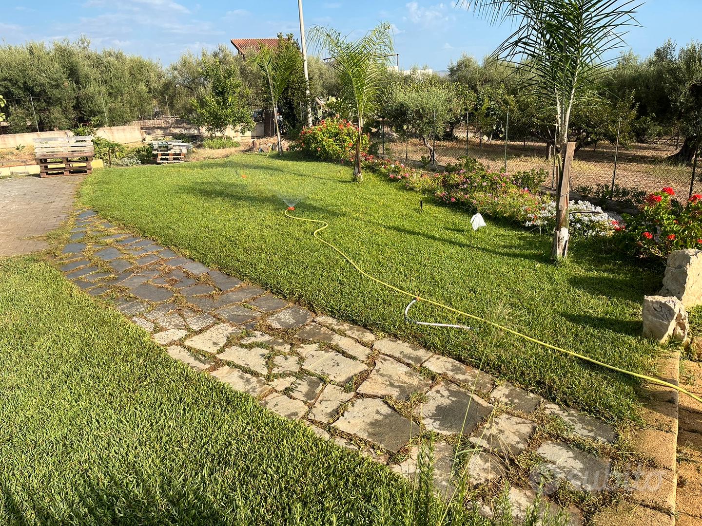 Terreno agricolo - Vista 3