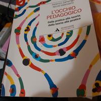 l'occhio pedagogico 