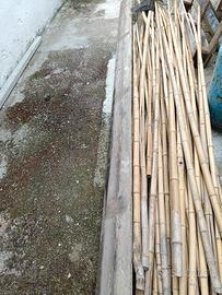 canne di bambu